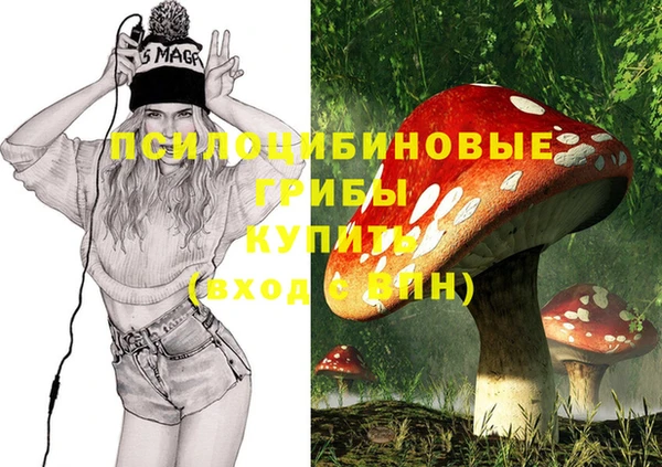 соль ск Краснослободск