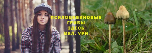 ALPHA PVP Корсаков