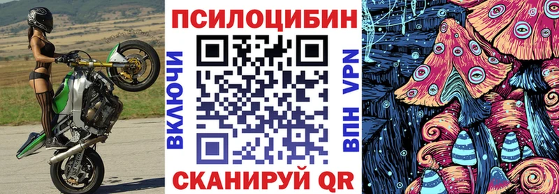 Псилоцибиновые грибы GOLDEN TEACHER  Лукоянов 